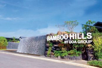 Bamboo Hill