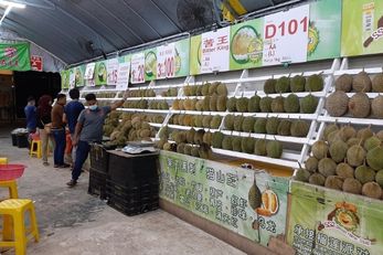 SS2 Durian House Stall 马来西亚榴莲