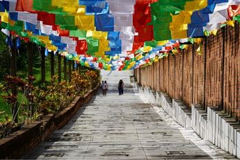 古来普陀村