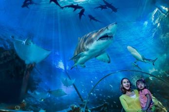 吉隆坡城中城水族馆 1