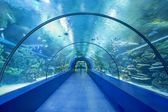 吉隆坡城中城水族馆 Aquaria KLCC