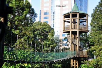 吉隆坡森林生态公园 景点