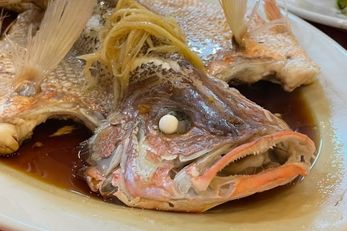 海乾大树下海鲜饭店 槟城美食
