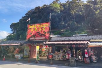 玫瑰山谷 Rose Valley