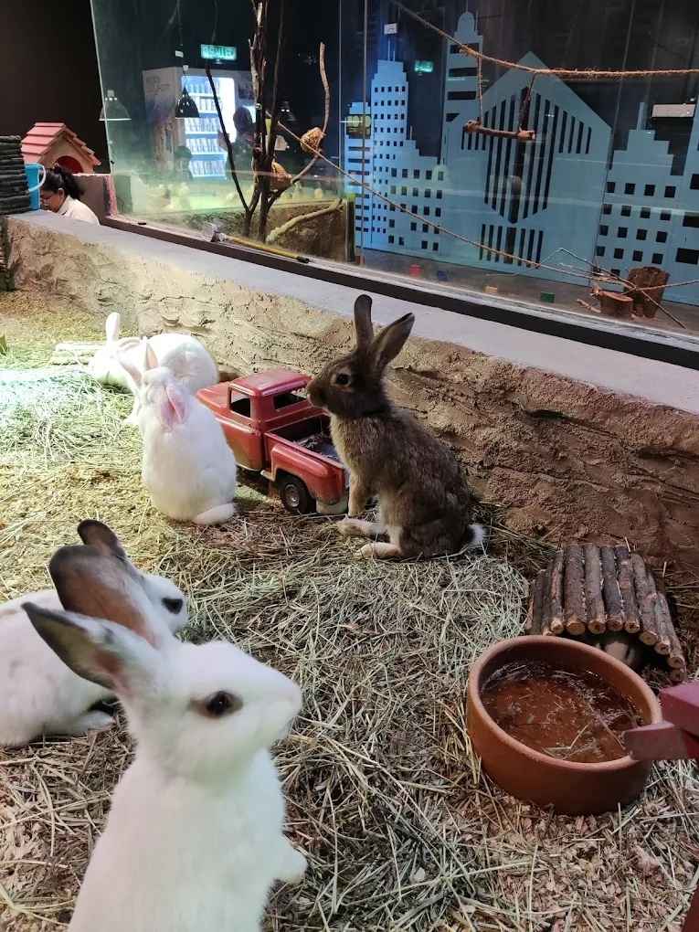 城市农场-小森林（IOI City Farm-Little Rimba）