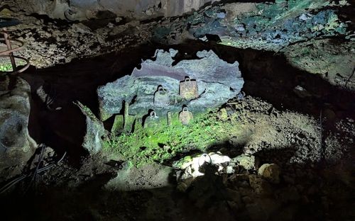 椰壳洞 Ipoh Gua Tempurung